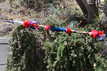 Load image into Gallery viewer, Freedom Clarity and Truth USA Shaman Spear (Signed by Tucker Carlson)