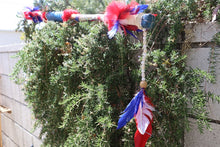 Load image into Gallery viewer, Freedom Clarity and Truth USA Shaman Spear (Signed by Tucker Carlson)